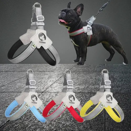 Harnais Y, toute grandeur : Le confort ultime pour votre chien - Jappy Toutou