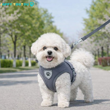 Harnais chien | Trot’Toutou™ :  Système ajustable