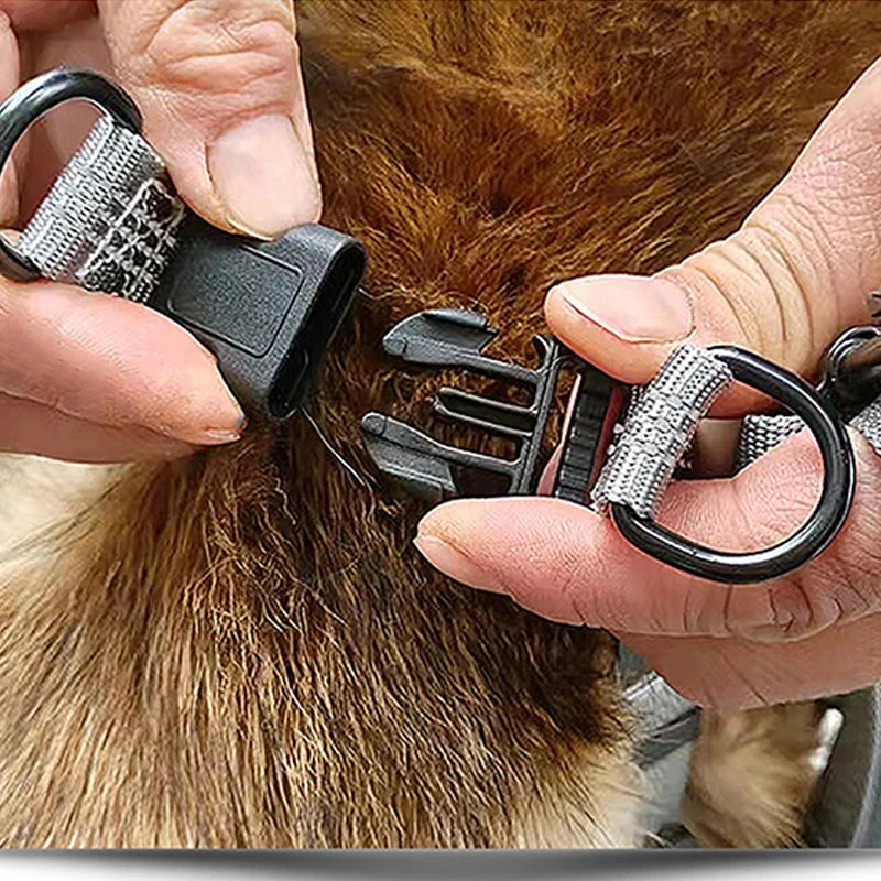 Harnais en Y Qualité Supérieure, Durable, visibilité nocturne