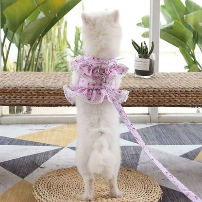 Harnais petit Chien•Joie petite Patte™ : coquet