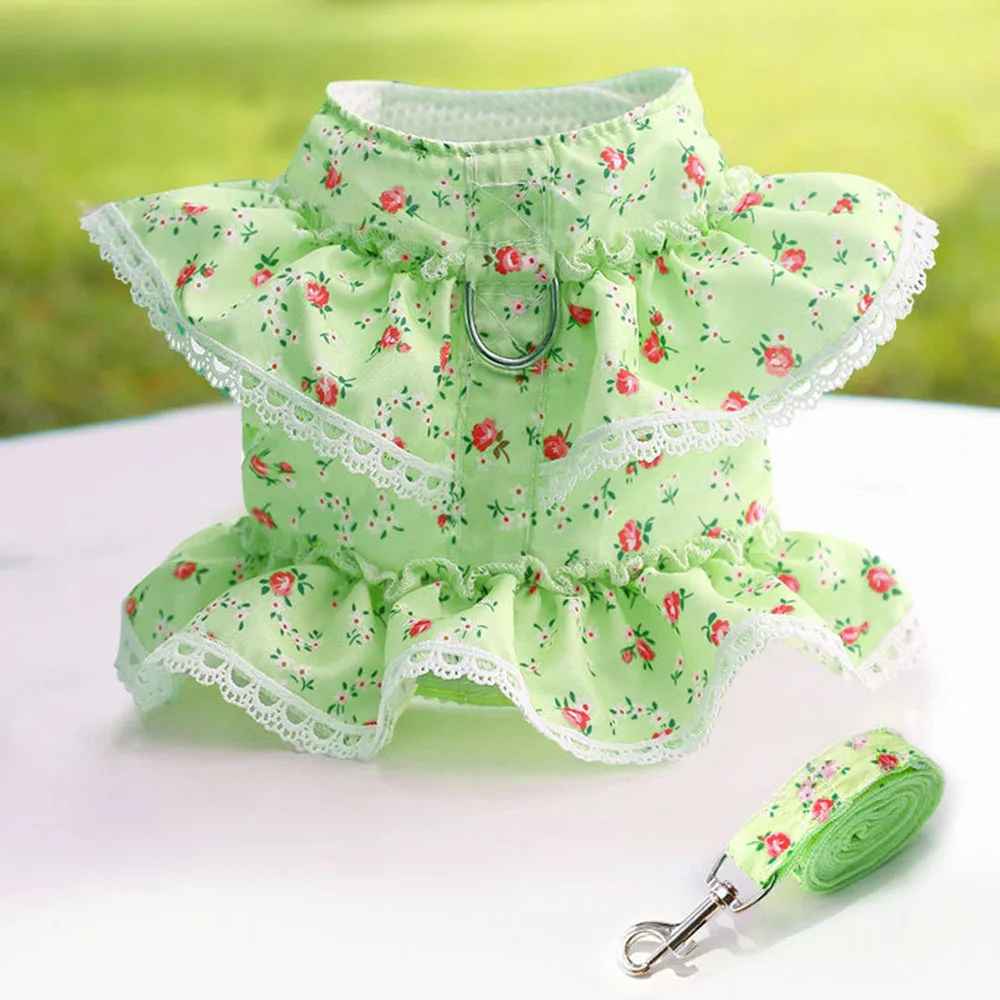 Harnais petit Chien•Joie petite Patte™ : Vert