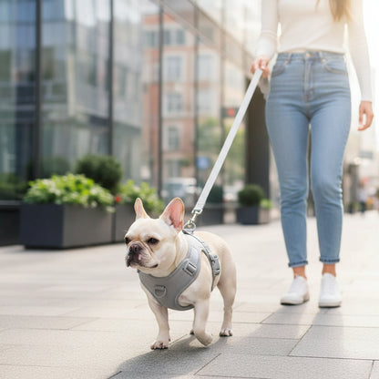 Harnais pour Chien | Rythmi’Toutou™ : gris marche en ville en laisse