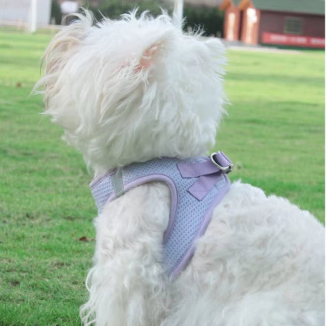 Harnais petit chien Souplesse et Confort Le meilleur pour votre animal de compagnie 