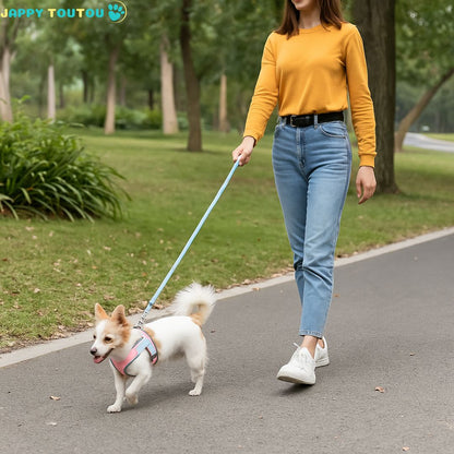 Harnais chien | ChiotGo2!™ Des promenades en toute confiance