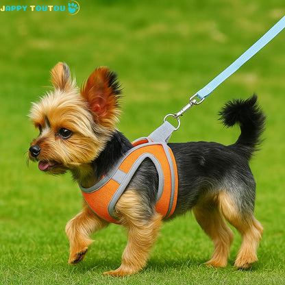 Harnais chien | ChiotGo2!™ Des promenades en toute confiance