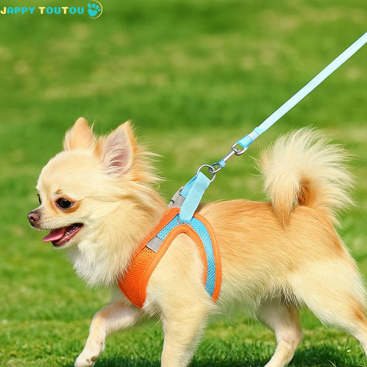 Harnais chien | ChiotGo2!™ Des promenades en toute confiance