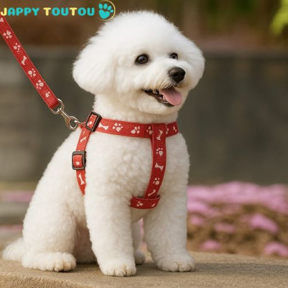 Harnais pour Petit Chien – Puppy Trot 2™ : Confort, Style au Quotidien