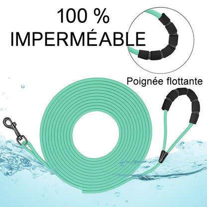 Longe pour chiot : votre allié tout-terrain, toutes activités