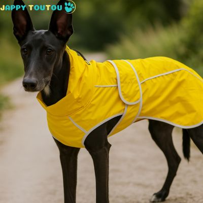  imperméable pour chien -MistyDogWalk™ ?
La protection ultime contre tous les éléments 