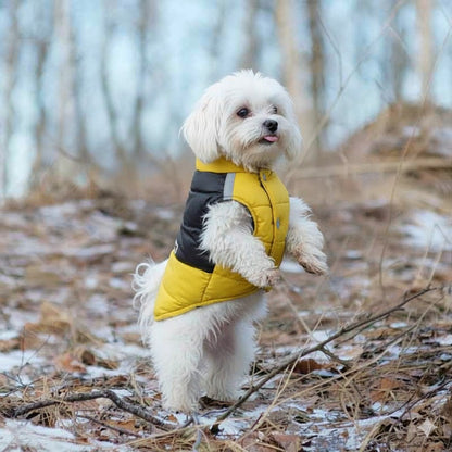 Vêtement chien | Douillette Toutes Saisons