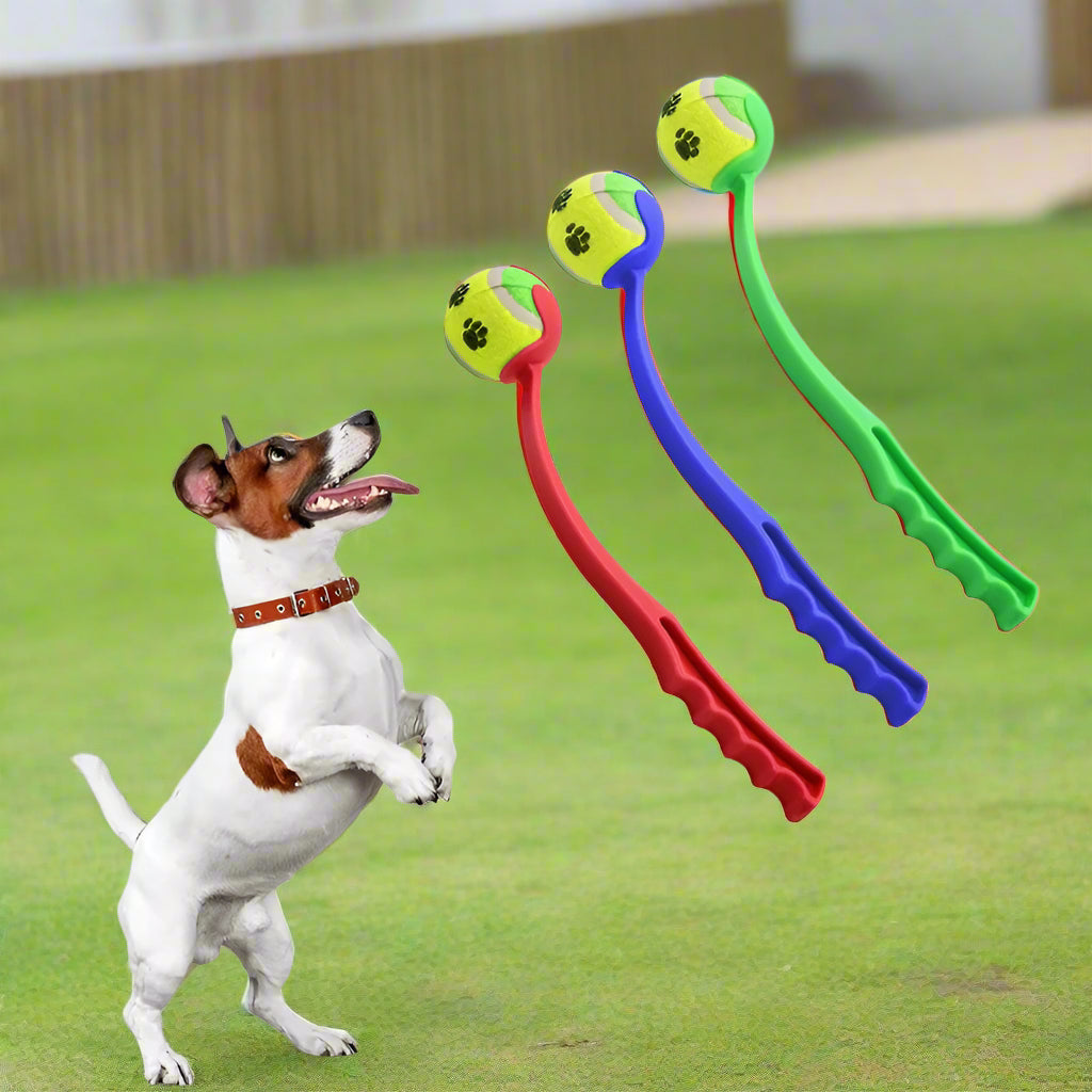 Jouet chien BalleStorm™ : lanceur de balles