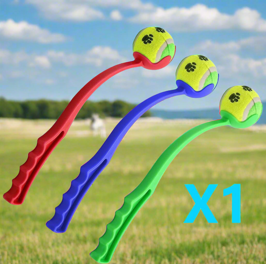 Jouet chien BalleStorm™ : lanceur de balles 1 choix aléatoire