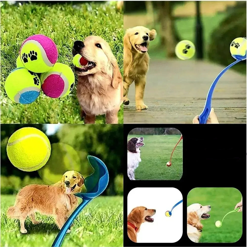 Jouet chien BalleStorm™ : lanceur de balles toute race