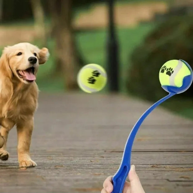 Jouet chien BalleStorm™ : lanceur de balles tout âge et race