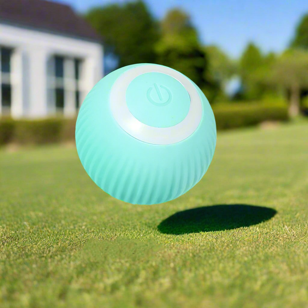 Jouet chien-BalleToc™ renforce votre lien affectif
Partagez des moments inoubliables avec votre meilleur ami