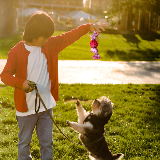 Les moments complices avec le Jouet chien GrosMord'Corde™