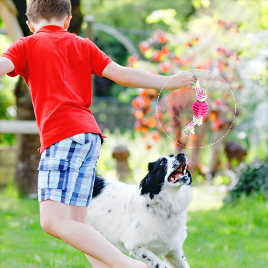 Les moments complices avec le Jouet chien GrosMord'Corde™