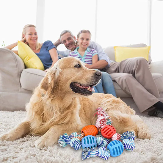 Les moments complices avec le Jouet chien GrosMord'Corde™ en famille 