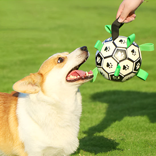 Jouet chien TruffeBall complice de vos journées 