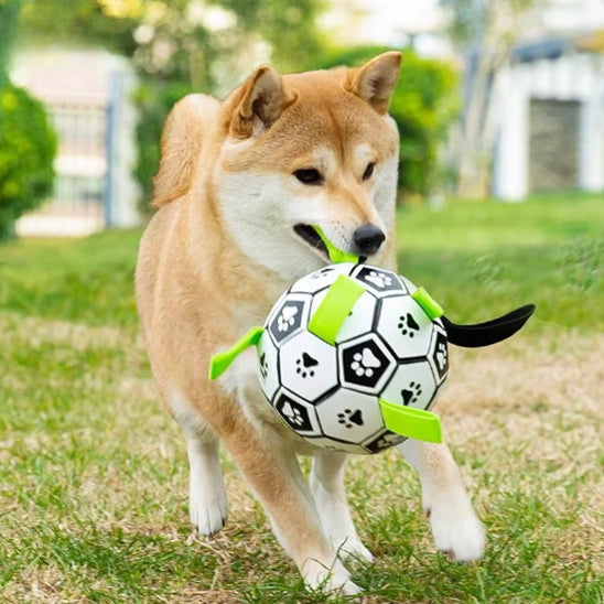 Jouet chien TruffeBall complice de jeu solide