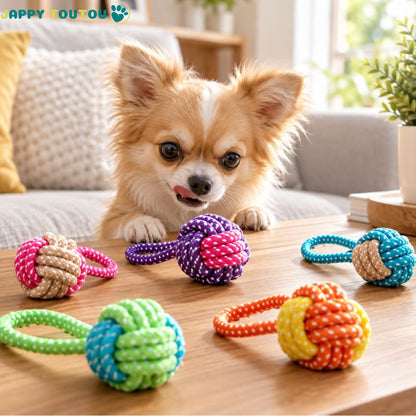 Jouet pour chien​​•Croc’nœud™ :  petit chien prêt à jouer