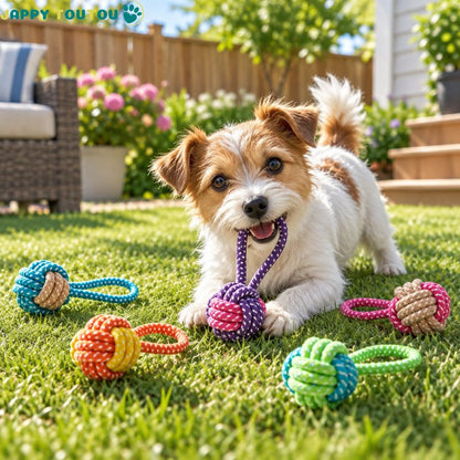 Jouet pour chien•Croc’nœud™ : Variété: Vendu en lot