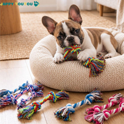 Jouet pour chien​​ • JappyNoeud Rigolo™ : Couleurs: Multicolores vives 