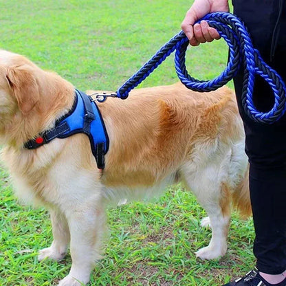 LAISSE POUR CHIEN  BLEU tressé en nylon www.jappytoutou.com