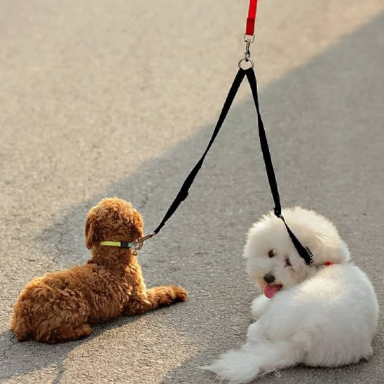 Laisse_double_pour_chien_2_ assis 