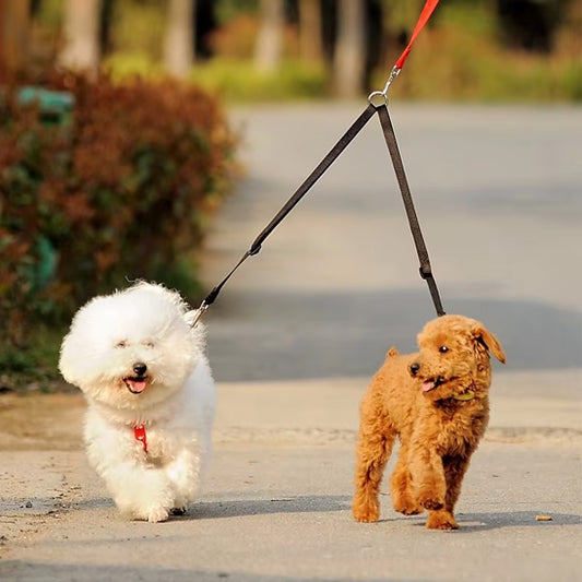 Laisse double pour chien couleur grandeur confort_ 