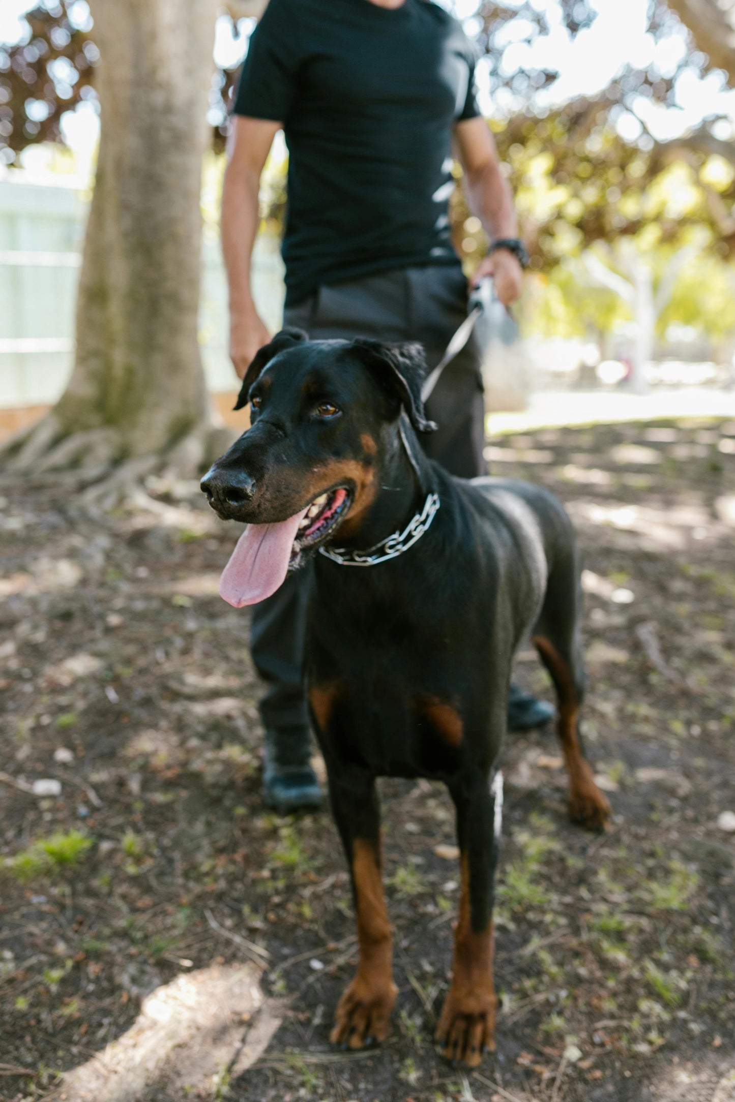 Laisse_Chien_Controle_laisse_enrouleur