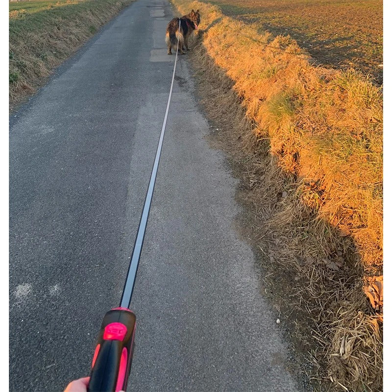 Laisse pour chien-RetracLeash™- Noir-Rouge marche