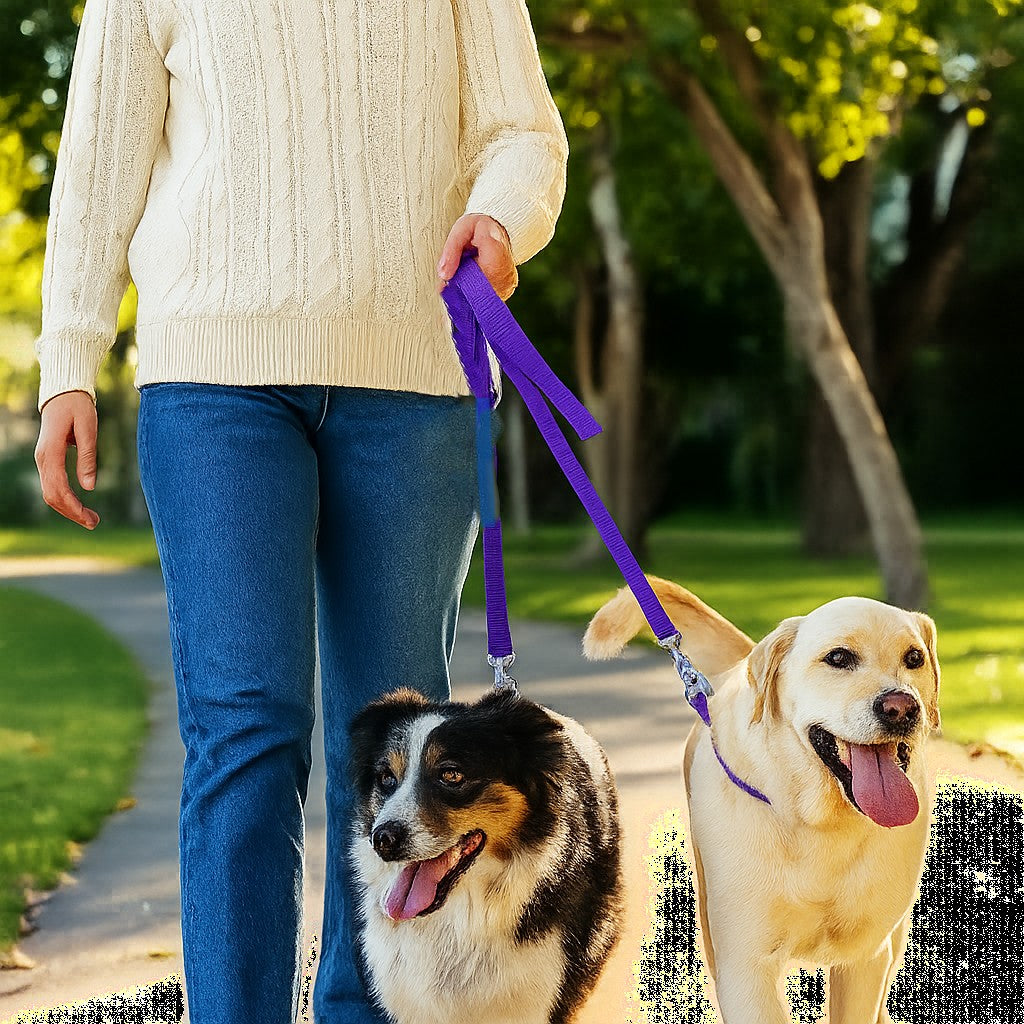 Laisse double pour chien MARCHE ou assis EN Tandem 