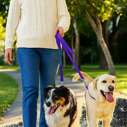 Laisse double pour chien MARCHE ou assis EN Tandem 