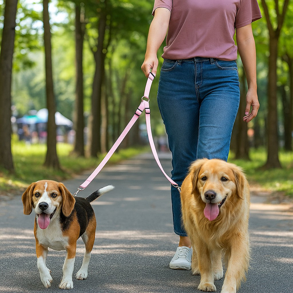 Laisse double pour chien MARCHE ou assis EN Tandem 