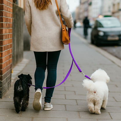 Laisse double pour chien MARCHE ou assis EN Tandem 