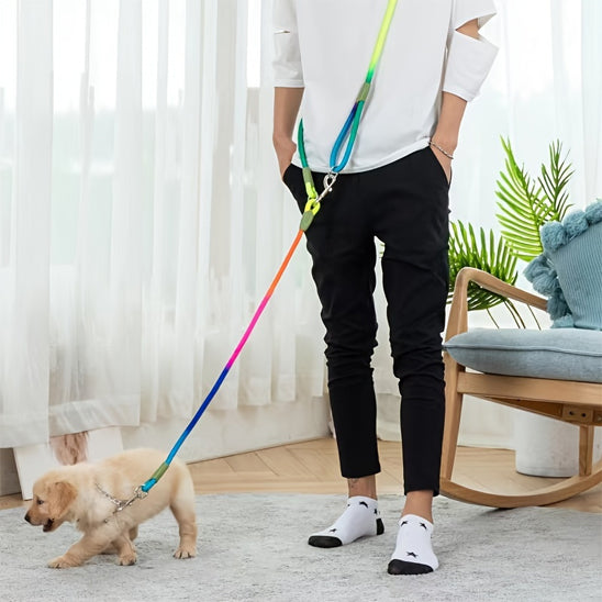 Transformez vos balades avec la Laisse chien main libre- Liberté™