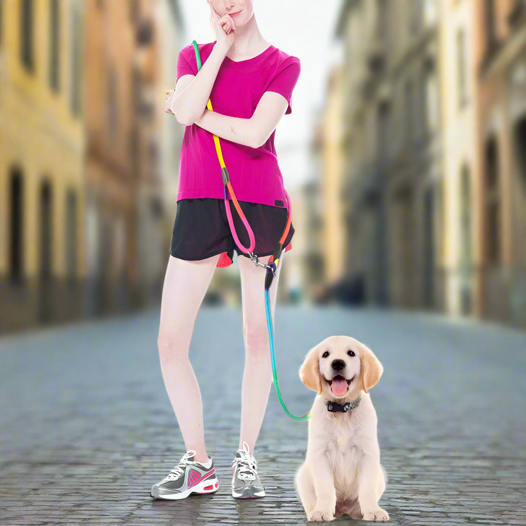 Transformez vos balades avec la Laisse chien main libre- Liberté™