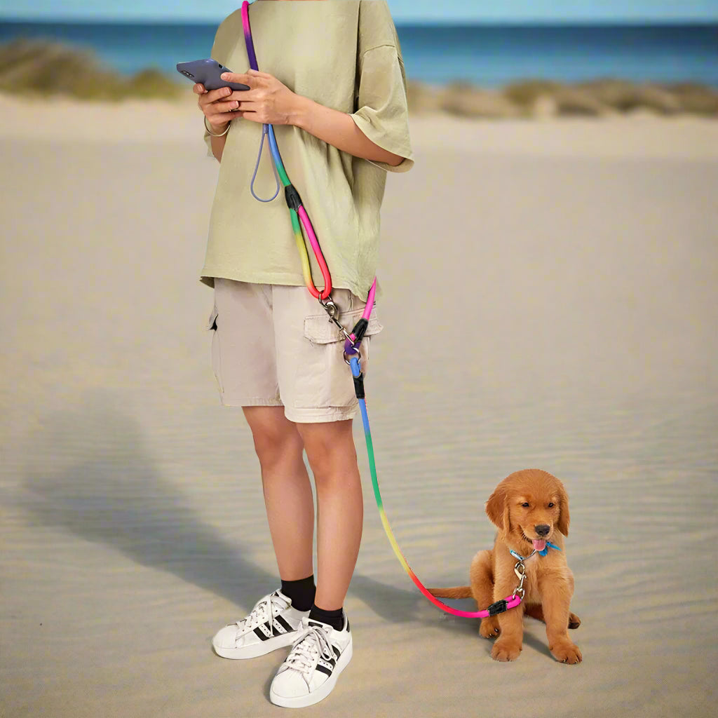 Laisse_chien_main_libre-_Libert_avec_toutou même sur la plage