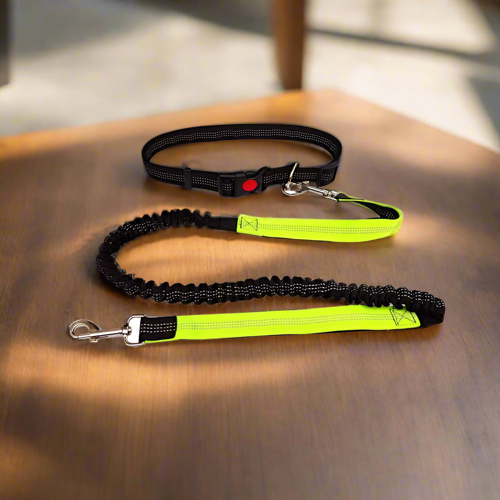  Laisse chien,
main libre - Paw'Rando™ Choix de couleur