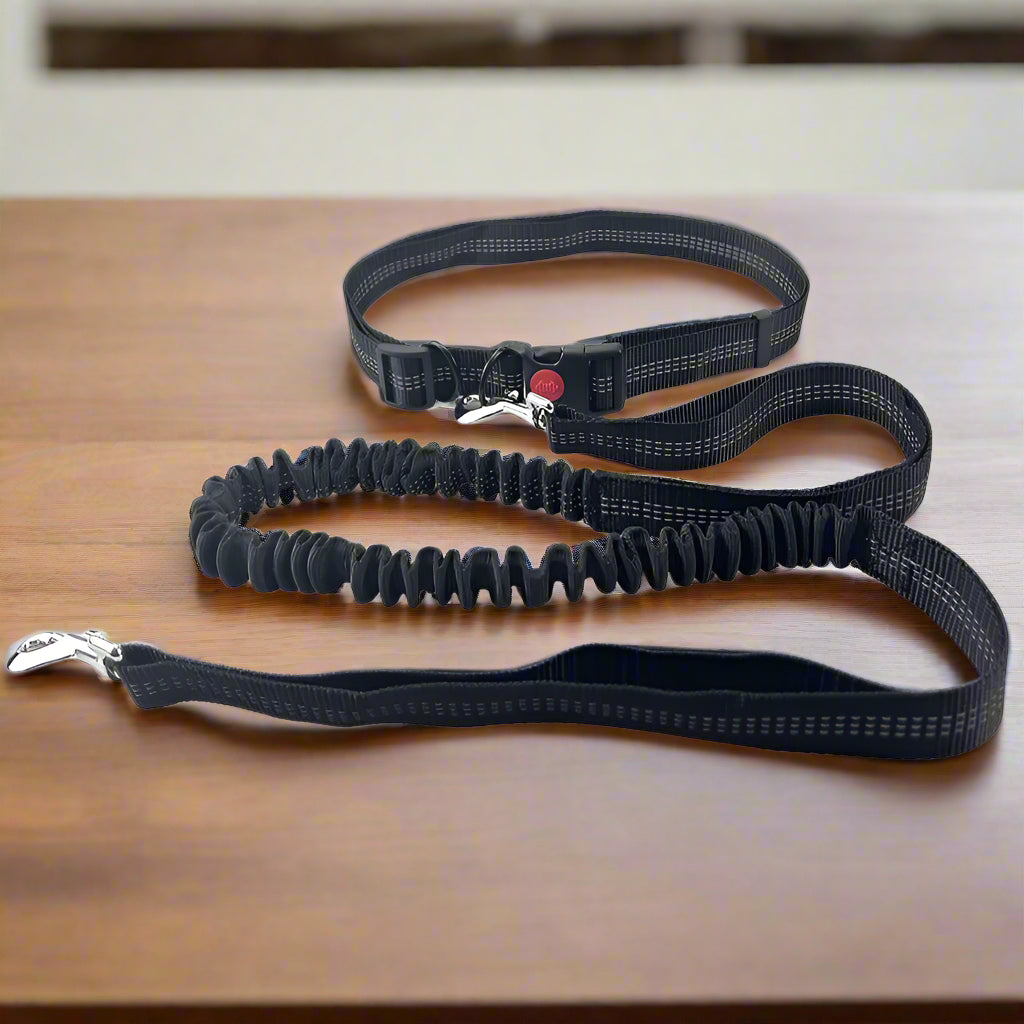  Laisse chien,
main libre - Paw'Rando™ Choix de couleur