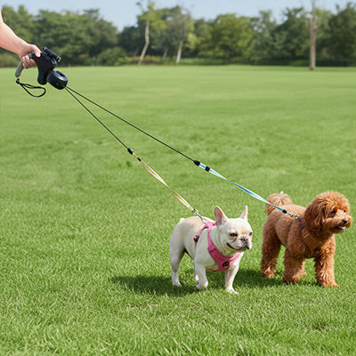 Laisse double pour Chien • JappyTandem™ :  Longueur ajustable