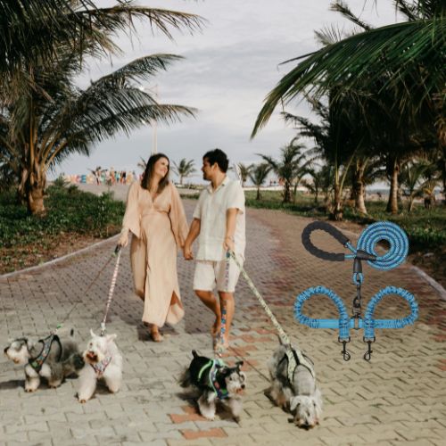 Laisse_double_pour_chien_BLEU_TOUT Lieu