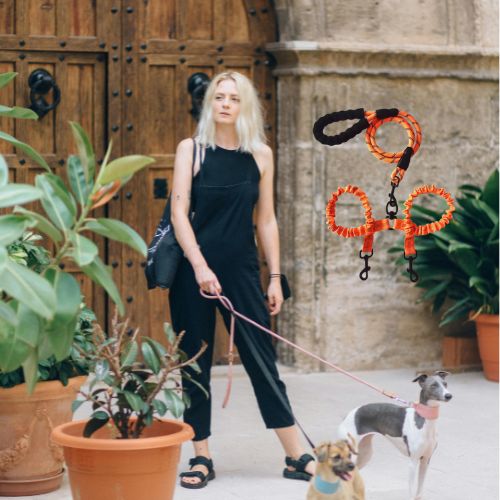 laisse double pour chien couleur enchevetrement TOUTE_RACE