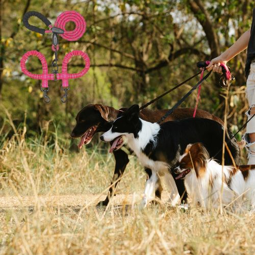 Laisse double pour chien TOUT Lieu