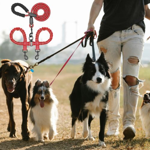 laisse_double_pour_chien_couleur_enchevetrement_TOUTE_RACE