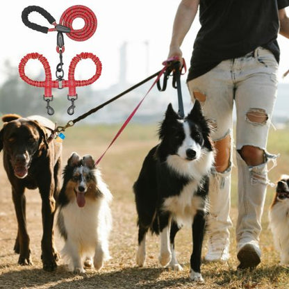 laisse_double_pour_chien_couleur_enchevetrement_TOUTE_RACE