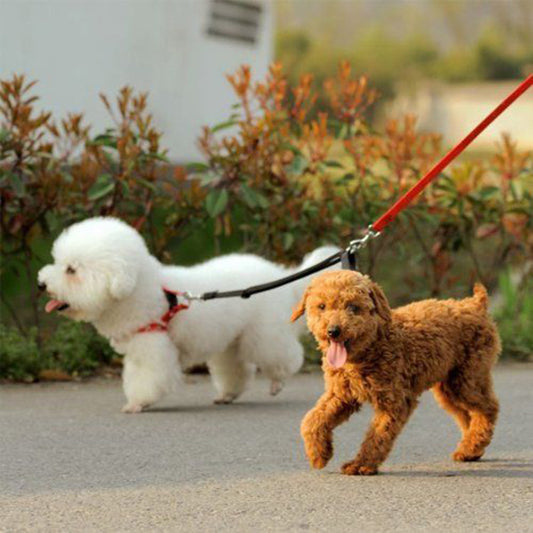 Laisse double pour chien Rouge COURTE MARCHE 