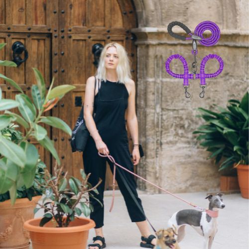 Laisse_double_pour_chien__TOUT Lieu