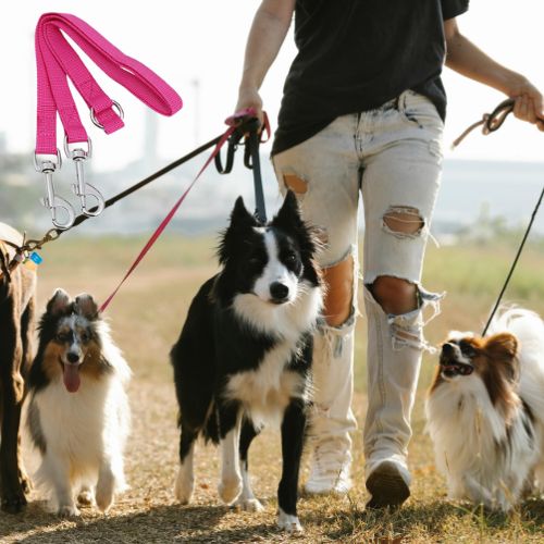 Laisse_double_pour_chien_rose en groupe